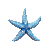 estrela.gif