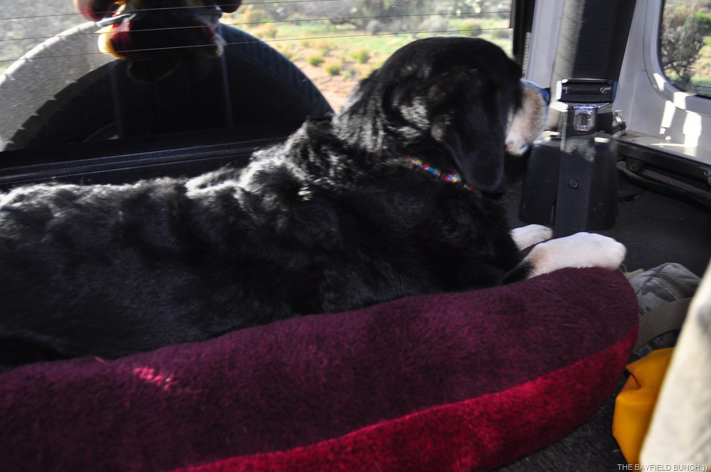 [DSC_0004%255B3%255D.jpg]