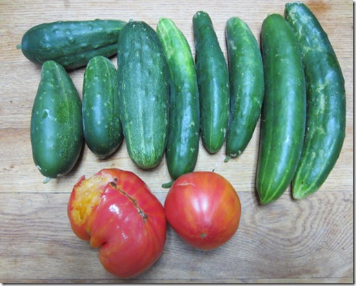 Cucumbers and Big Rainbow tomatoes