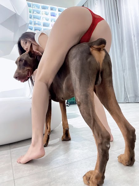 Jiu Shi A Zhu A (就是阿朱啊) 杜宾狗