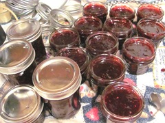 Blackberry jam 1.14.13  jam in jars