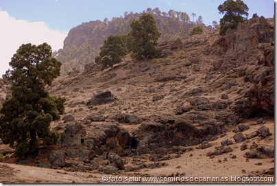 3627 El Juncal-Roque Cofre 3627 El Juncal-Roque Cofre