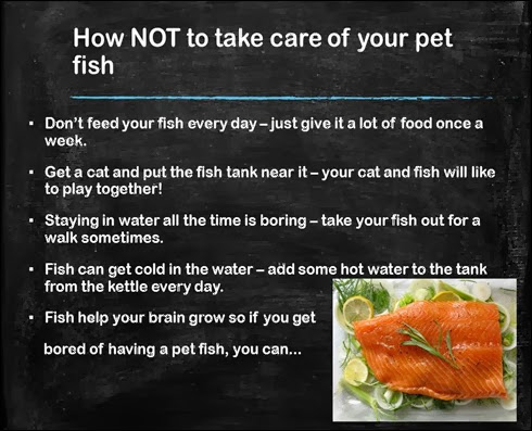 How NOT to look after your fish