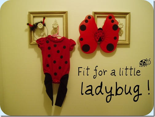Ladybug Costume 1