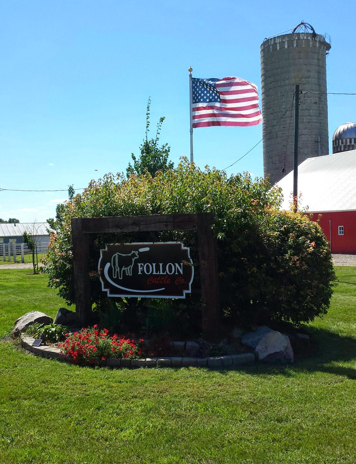 Habeger Show Stock News Follon Cattle (Everly, Iowa)