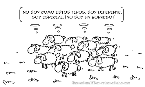[sheeps_es%255B2%255D.png]