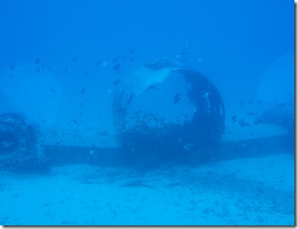 Plane Wreckage_Submarine Tour_Atlantis Submarine Waikiki