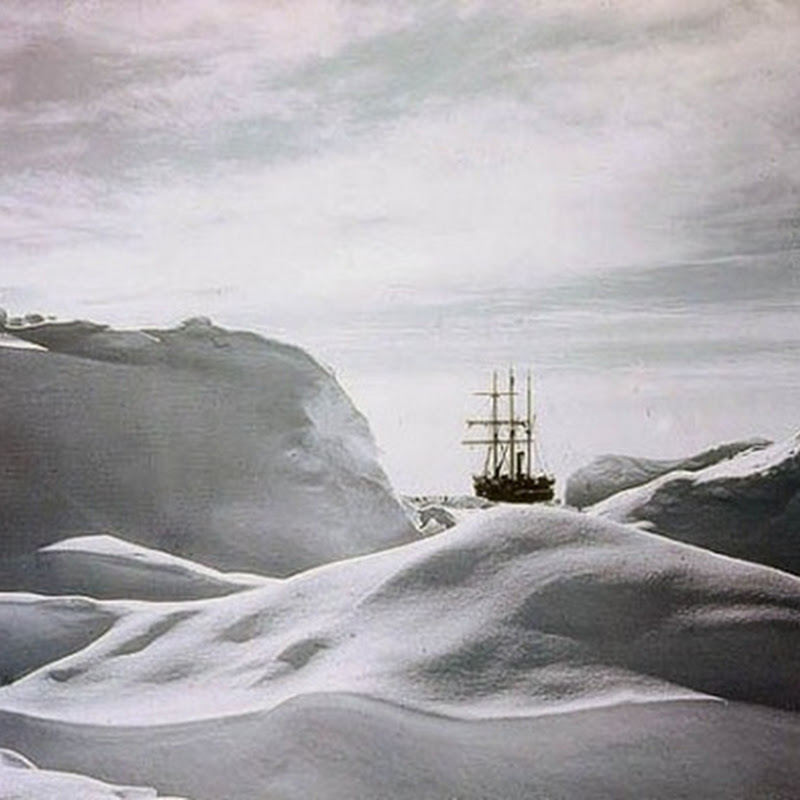 Антарктика 1915 года