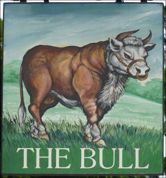 The Bull 01