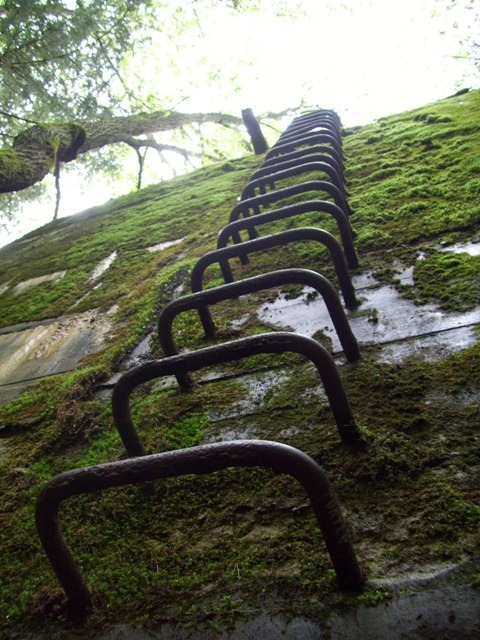 [picture-186%255B4%255D.jpg]