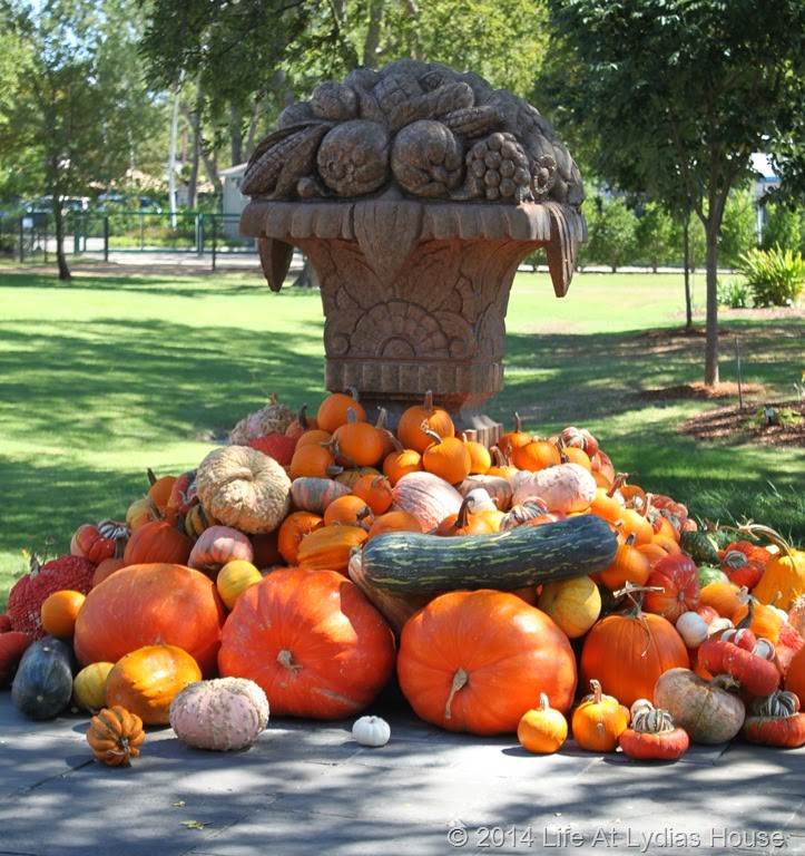 [Dallas-Arboretum---pumpkin-festival-%255B13%255D.jpg]