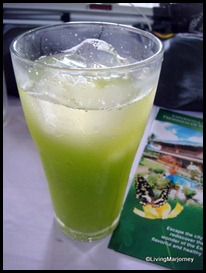 Cucumber Juice | On Organic Food & Majayjay Falls 