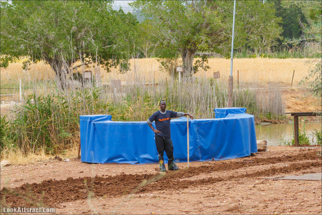 Неот Кдумим - Заповедник библейской природы | נאות קדומים