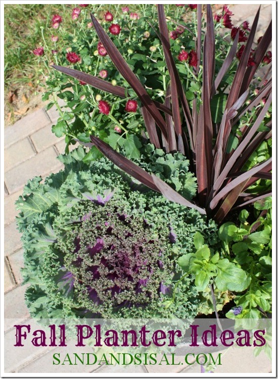 Fall Planter Ideas 