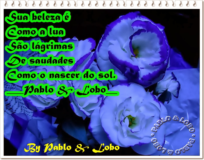 509840852_33b474d7b9_o.jpg