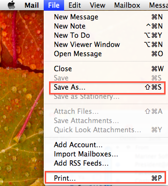 Save Options in Mail for Snow Leopard