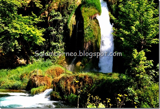 DSC_1475_Fotor DSC_1475_Fotor