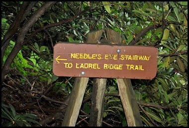 07 -Neddle's Eye Stairway to Laurel Ridge