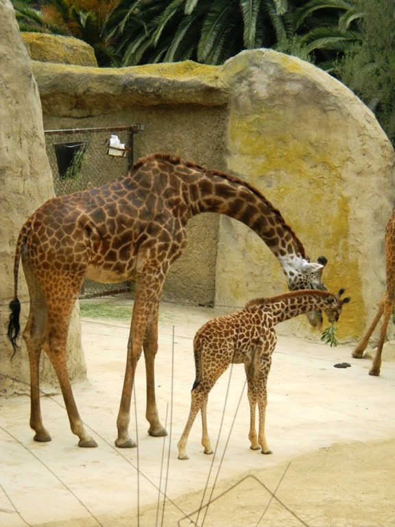 [DSCN5529%2520-%2520Kopie%255B4%255D.jpg]