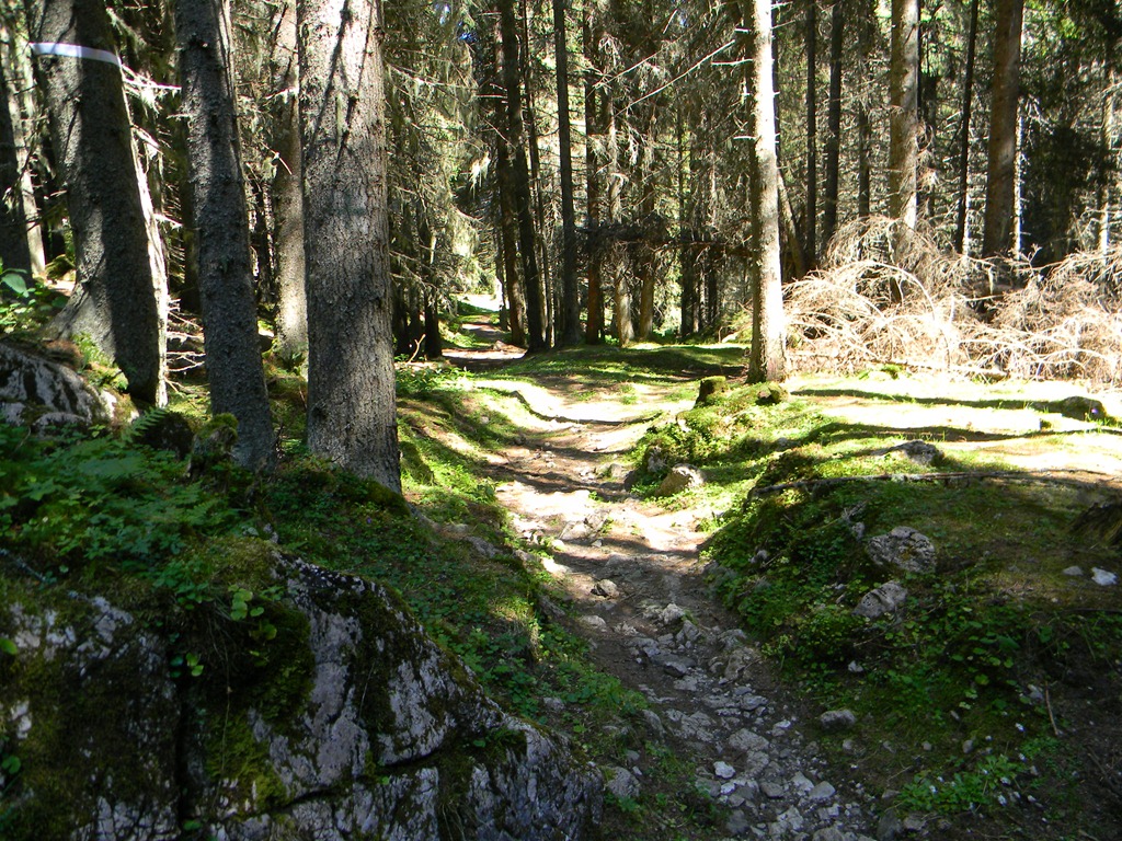 [DSCN15723.jpg]