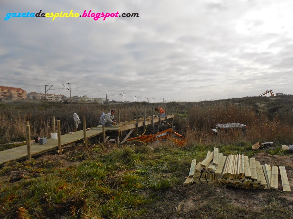 [Blog002Gazeta%2520de%2520Espinho%255B3%255D.jpg]