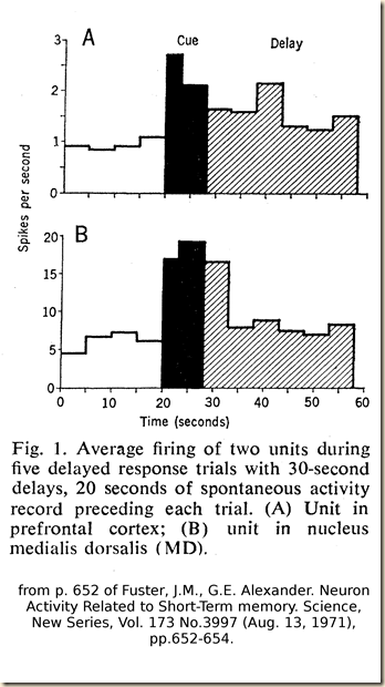 Fuster.1971.fig1.2