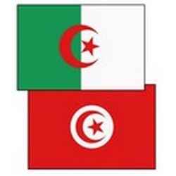 Algérie - Tunisie match en direct Can 2013 le 22/01/2013 à ...