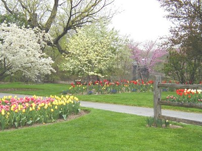 foster-park-in-spring