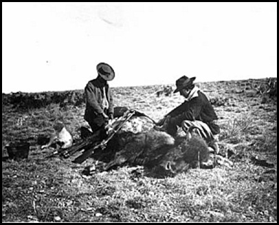 Le massacre des bisons en Amérique-7