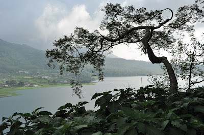 DSC_0093.jpg