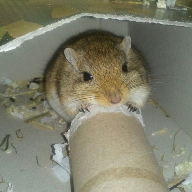 [IMG_20130104_225103%255B3%255D.jpg]