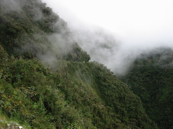 La route vers Coroico (1900 m). 7 janvier 2004. Photo : Peter Møllmann