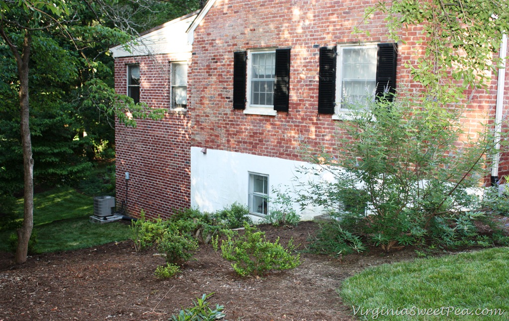 [Azalea-After12.jpg]