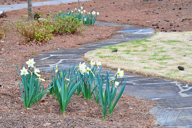 [March%25202014%2520335%2520copy%255B2%255D.jpg]