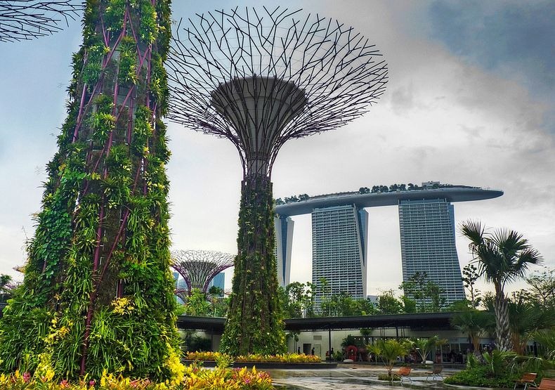 supertrees-singapore-3