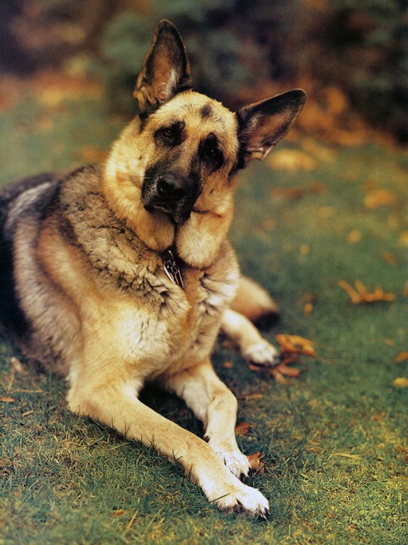 [Vogue_IT_March2000_Weber3%255B3%255D.jpg]