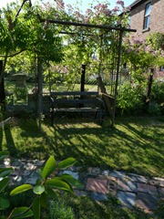 garden june 2011 022