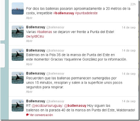 Ballenas Twitter Uruguay