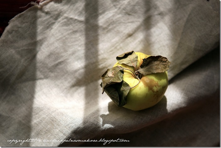 Tarta jabłkowa z dynią (1)