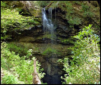 01e3 -  White Oak Sinks - Falls Cave Closeup