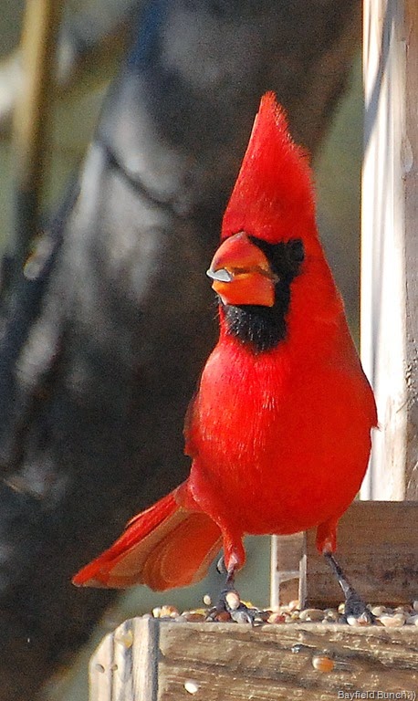 [DSC_2680%255B5%255D.jpg]