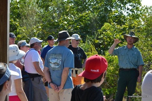 Brian explains the various native and naturalized plants at Lovers Key