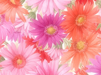 √ 可愛い 花 の 壁紙 282573