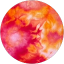 Daphne Hansen profile picture