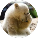 Image Google de jean-pierre ZANNIN