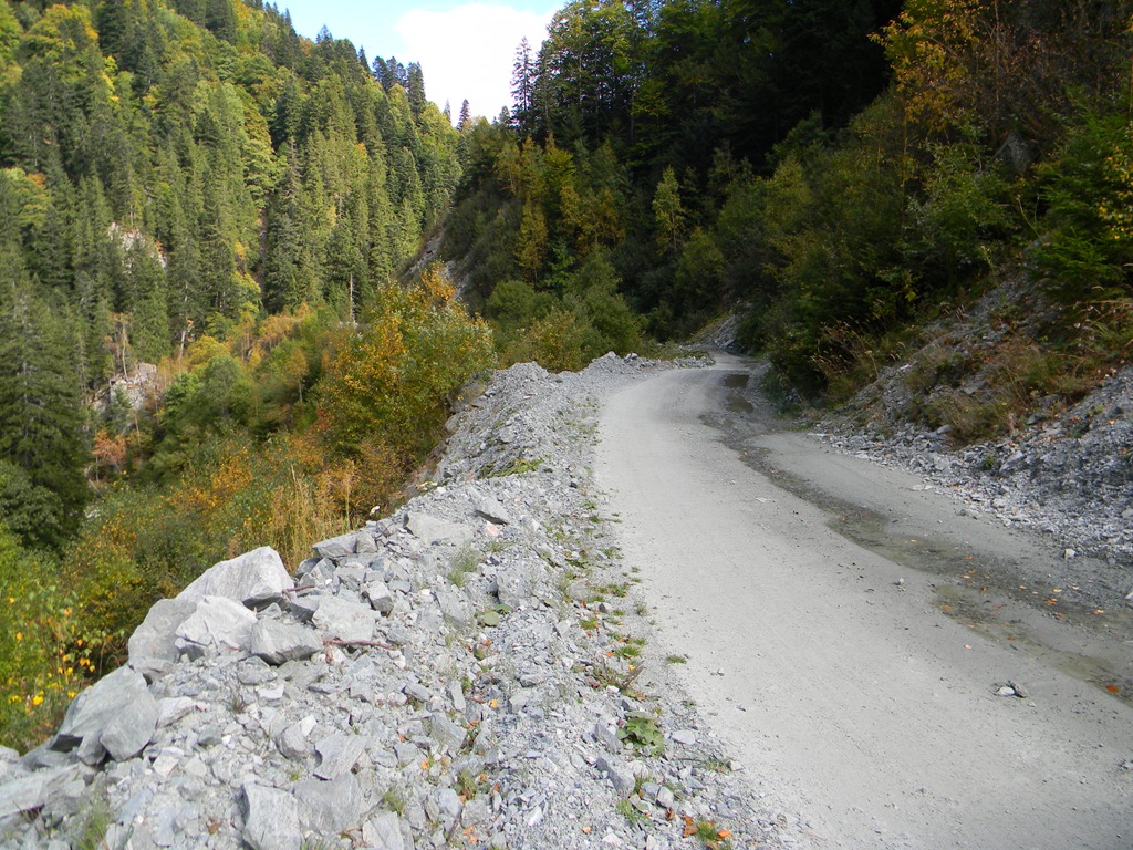 [DSCN35433.jpg]