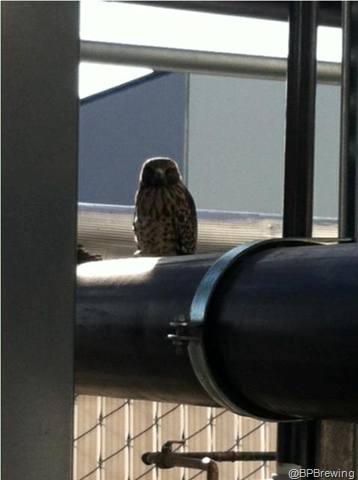 [image%255B8%255D.png]