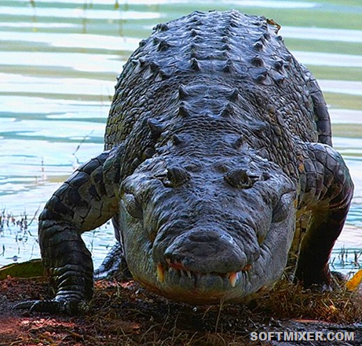 [121_4_clean_thumb%255B3%255D%255B8%255D.jpg]