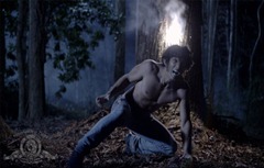 Teen Wolf Screen 03