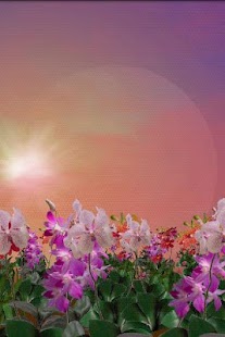 How to install Orchids Free Live Wallpaper 1.23 unlimited apk for pc